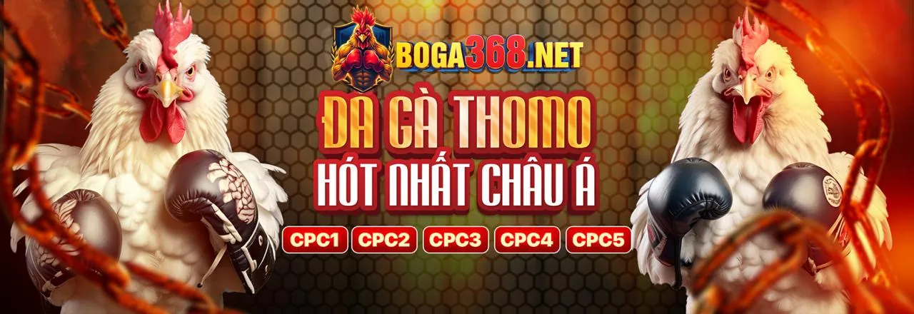 Đá gà trực tuyến go666 trang chủ chính thức với các trận đấu kịch tính